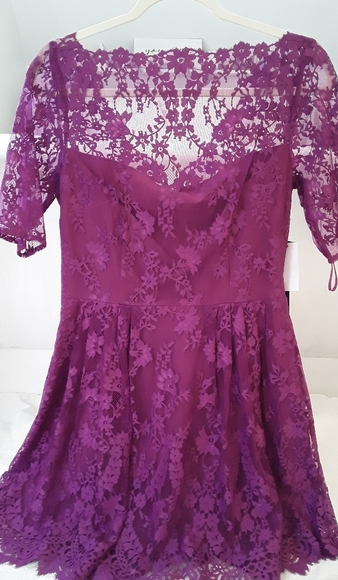 cynthia steffe nordstrom